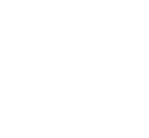 Screen Watermark Icon - DataPatrol