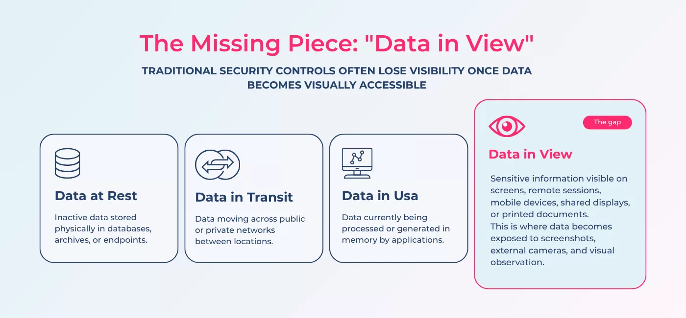 What Is Visual Data Security? Definition & Best Practices 2 data-in-view